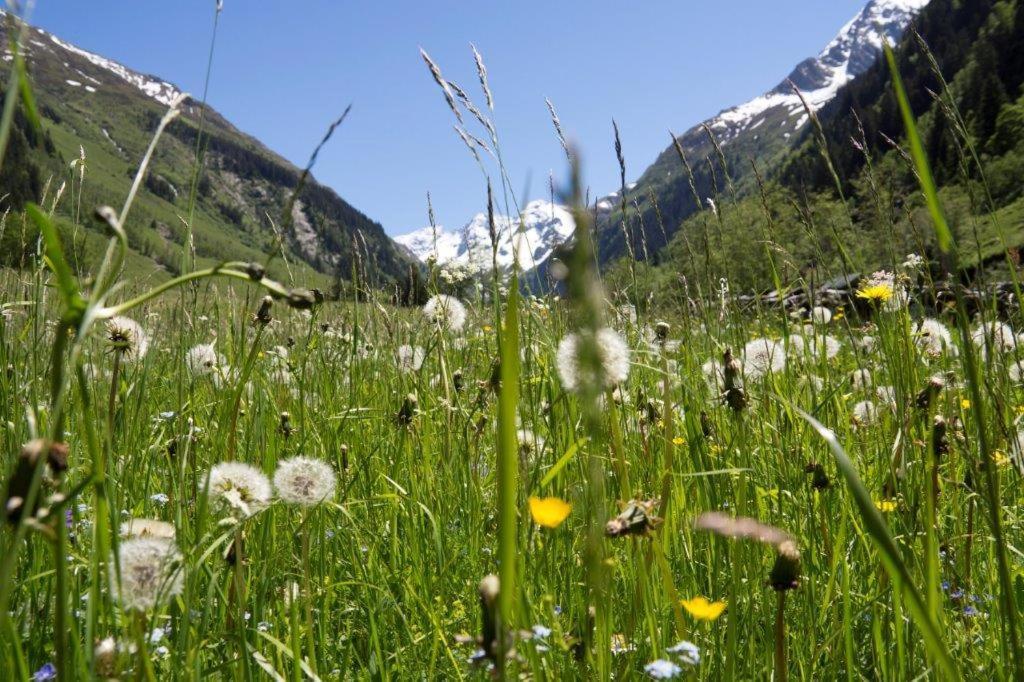 Garni Roesslhof Hotel Hollersbach im Pinzgau Exterior photo