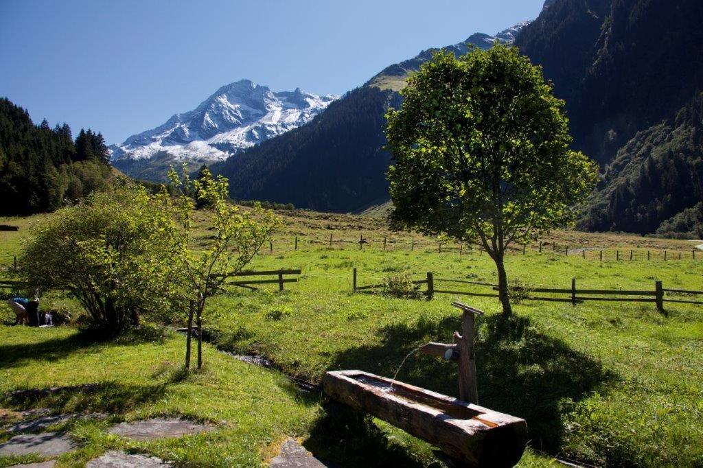Garni Roesslhof Hotel Hollersbach im Pinzgau Exterior photo