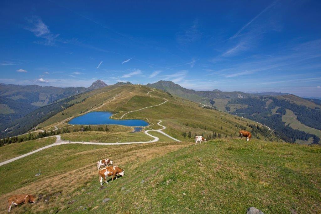 Garni Roesslhof Hotel Hollersbach im Pinzgau Exterior photo